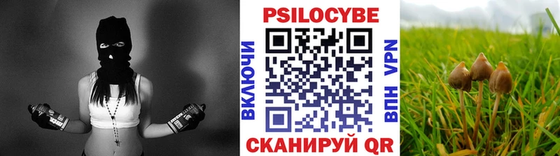 как найти закладки  Сысерть  Псилоцибиновые грибы мухоморы 